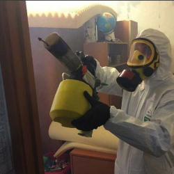 Уничтожение клопов в квартире. Заречный